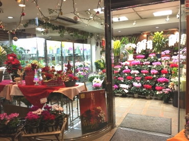 「花とう」　（東京都府中市）の花屋店舗写真3
